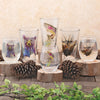Northwoods Glassware - CLEARANCE