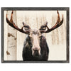 Personalized Aspen Moose Framed Art