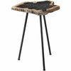Petrified Wood Accent Table