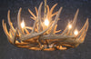 Whitetail 12 Antler Cascade Chandelier - SALE