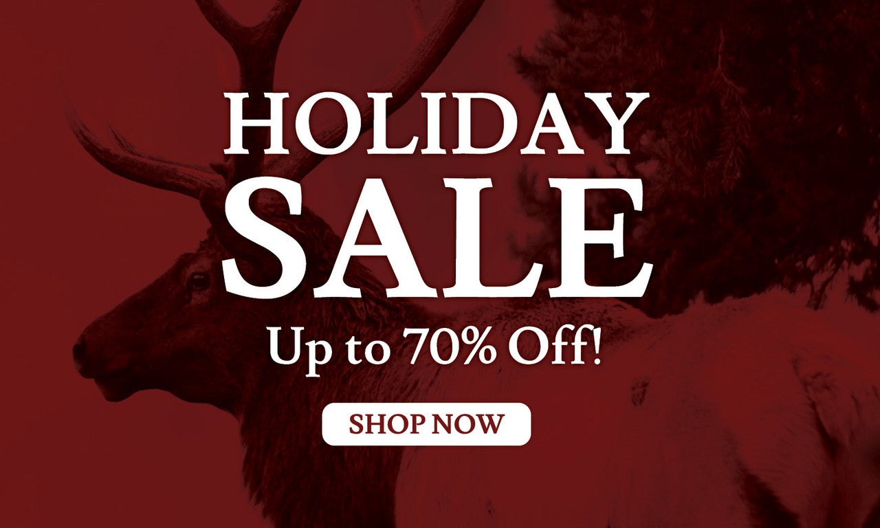 Clearance Sale! Save up to 50% - Limited supply - Shop now