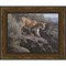 Rocky Mountain Lion Framed Canvas