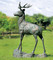 Stag Garden Sculpture