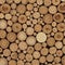 Timber Slices Wood Wall Art
