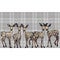 Family of Fawns on Plaid Canvas Print