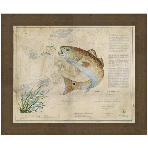 Galveston Redfish Framed Art