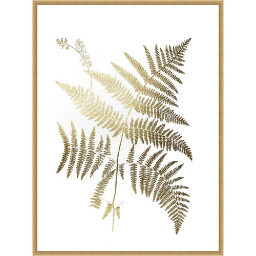 Golden Fern I Framed Print