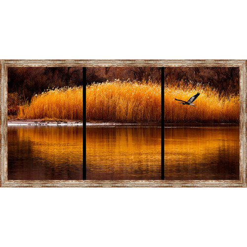 Golden Flight Framed Canvas