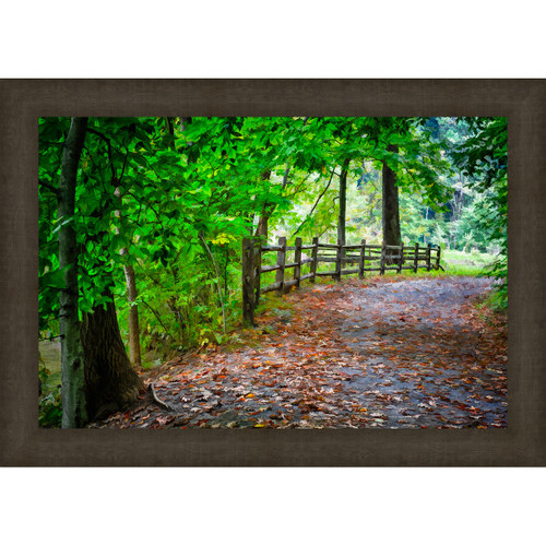 Green Pathway Framed Canvas