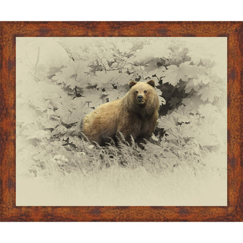 Grizzly Gaze 3D Canvas