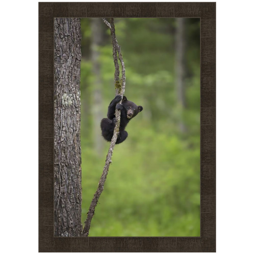 Hanging Around II Framed Art