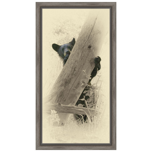Hello Black Bear Framed Canvas