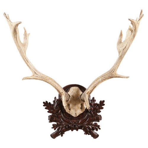 Large Fallow Antler Plaque - White