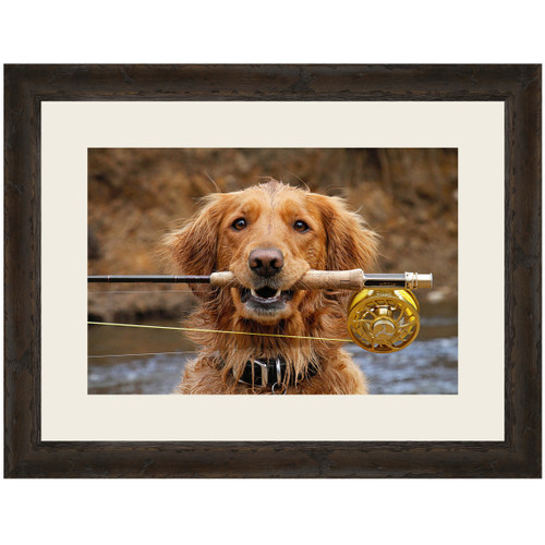 Lets Go Fishing Canvas Art