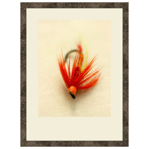 Macro Lures VIII Framed Print
