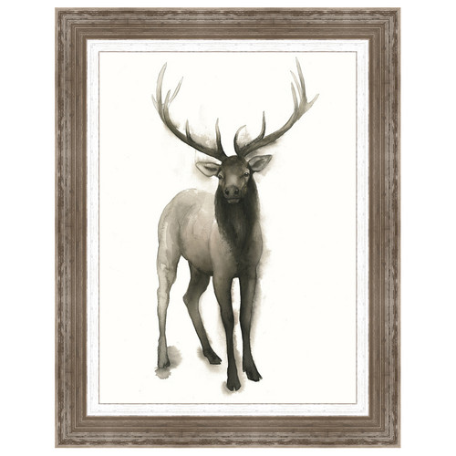 Majestic Wildlife II Framed Print