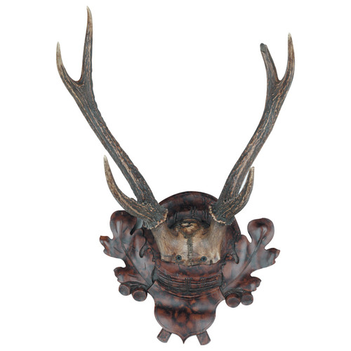Medium Black Forest Antler Plaque