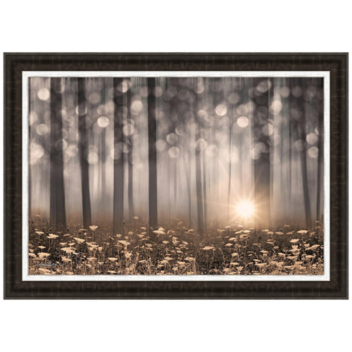 Misty Sunrise Canvas Art