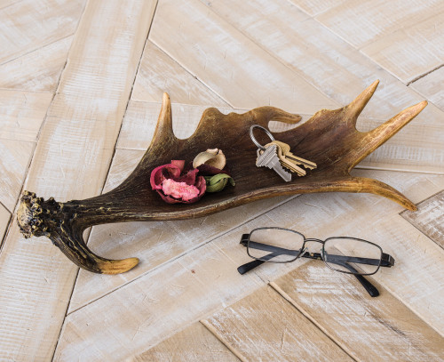 Moose Antler Tray