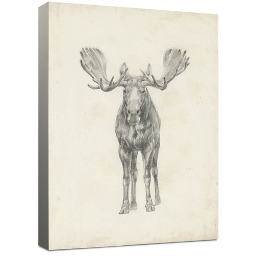 Moose Pencil Sketch Canvas Wall Art