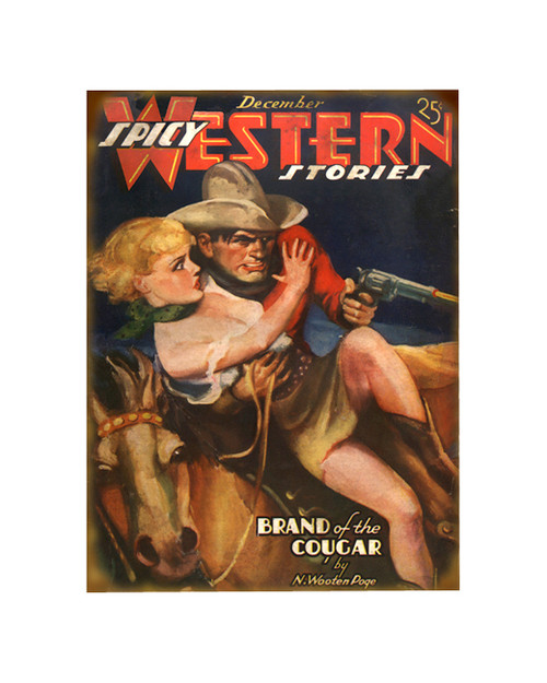 Spicy Western Stories Sign