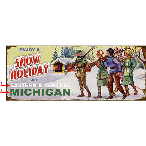Snow Holiday Sign - 17 x 44