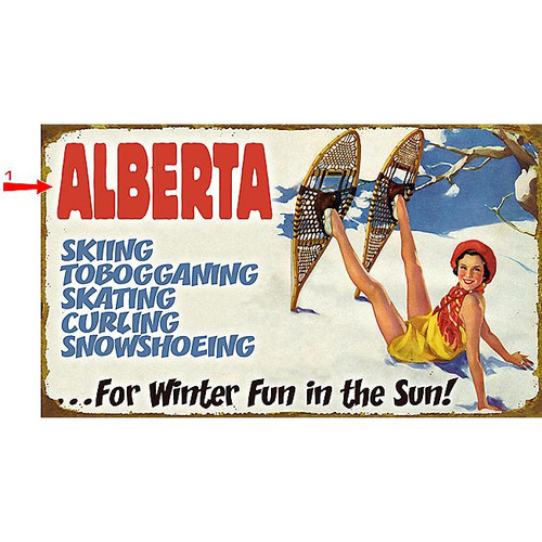 Skiing, Tobogganing Sign - 18 x 30