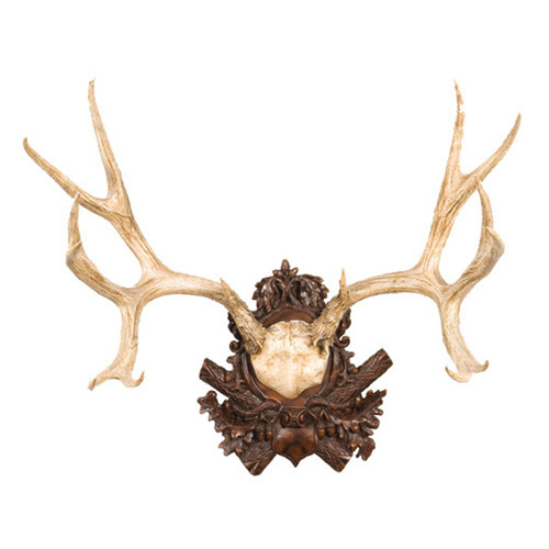 Mule Deer Antlers Plaque