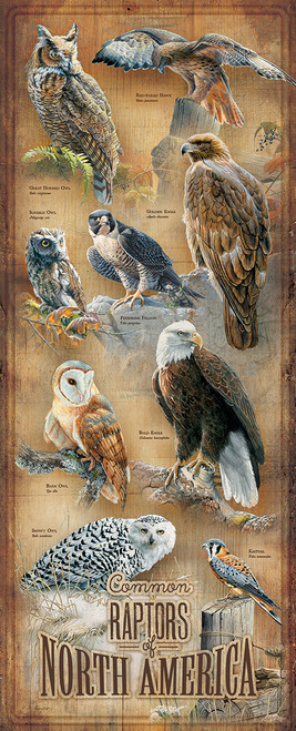 North American Raptors Wood Chart