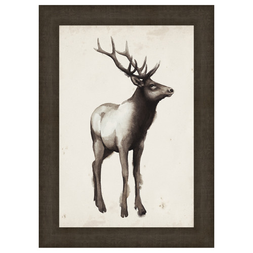 Northern Journey I Framed Print