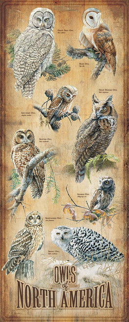 Owl Studies Wood Sign