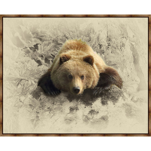 Pondering Grizzly Wrapped Canvas