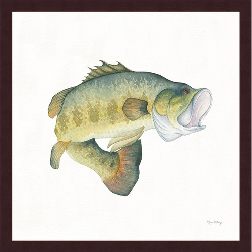 River Rapids Large Mouth Bass Wall Art