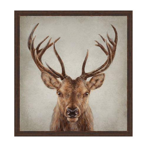 Stag Portrait Framed Canvas
