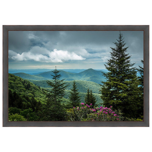 Summit's Vantage Wall Art