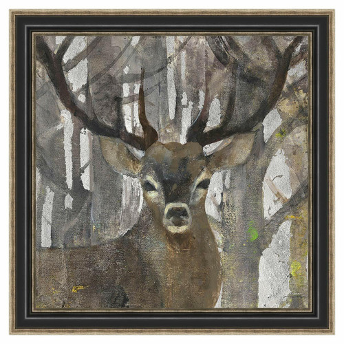 The Guardian Framed Print