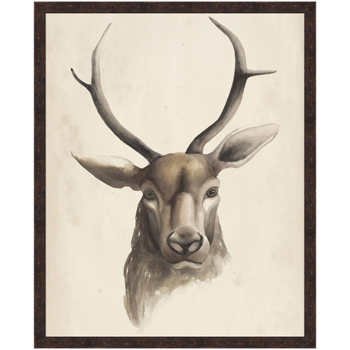 Watercolor Animal Study I Framed Print