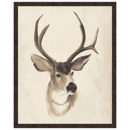 Watercolor Animal Study II Framed Print