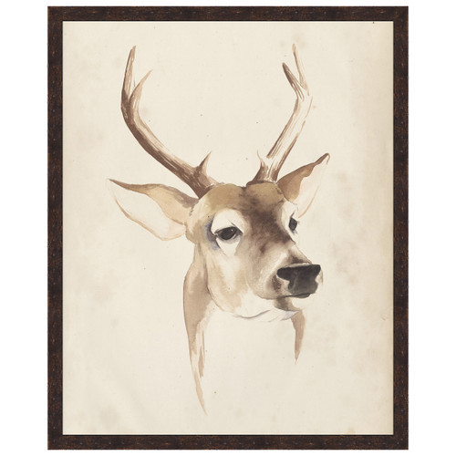Watercolor Animal Study IV Framed Print