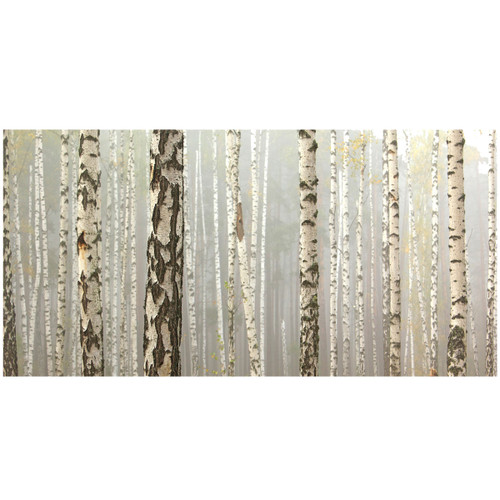 White Forest Canvas Art