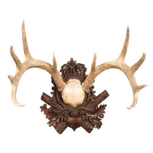 Whitetail Deer Antler Plaque