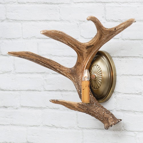 Whitetail Deer Antler Wall Sconce - Left Facing