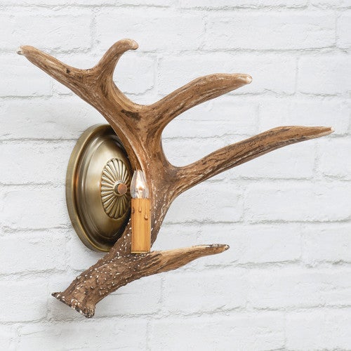 Whitetail Deer Antler Wall Sconce - Right Facing