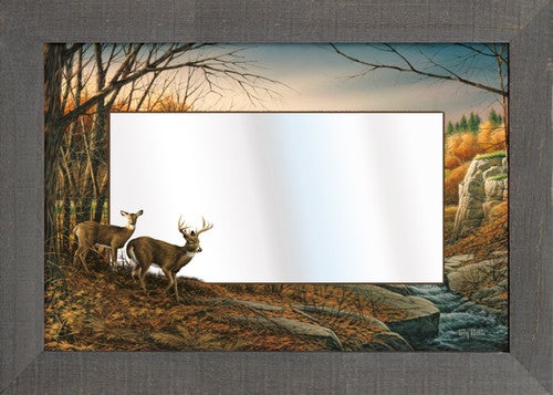 Whitetail Summer Mirror