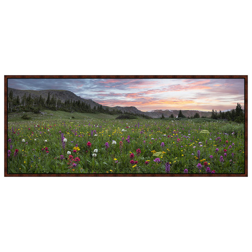Wildflower Framed Canvas