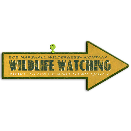 Wildlife Watching Personalized Arrow Sign