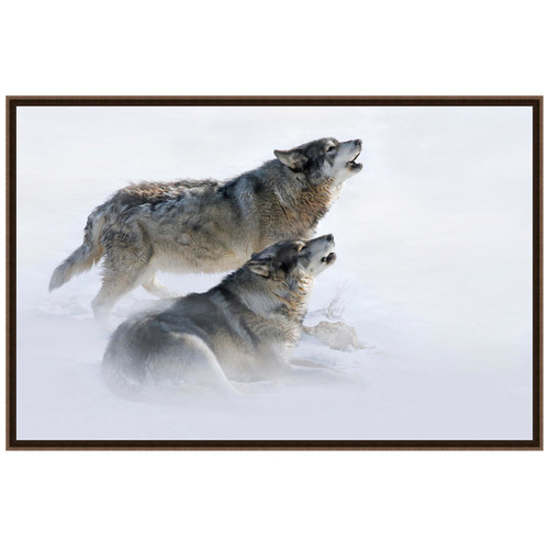 Winter Howl Canvas Art