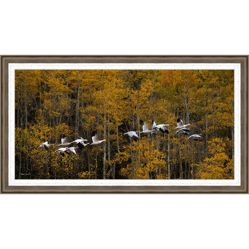 Winter is Coming Framed Canvas