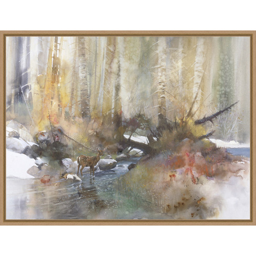 Wooded Stream Framed Canvas