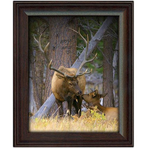 Woodland Sweethearts Personalized Framed Print